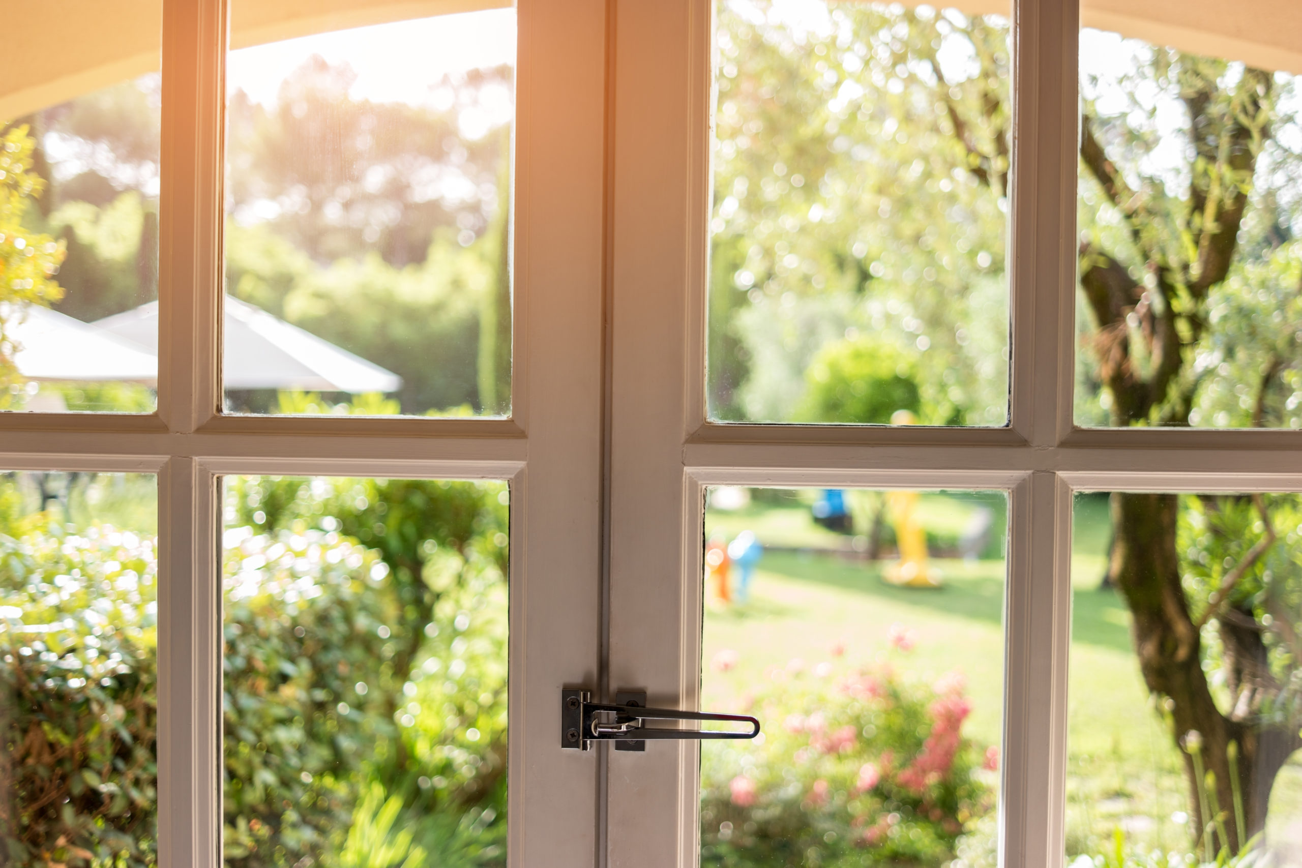 Nature in window