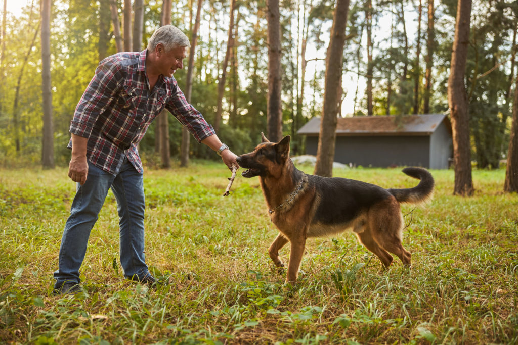 Happy senior citizen playing with his dog outside